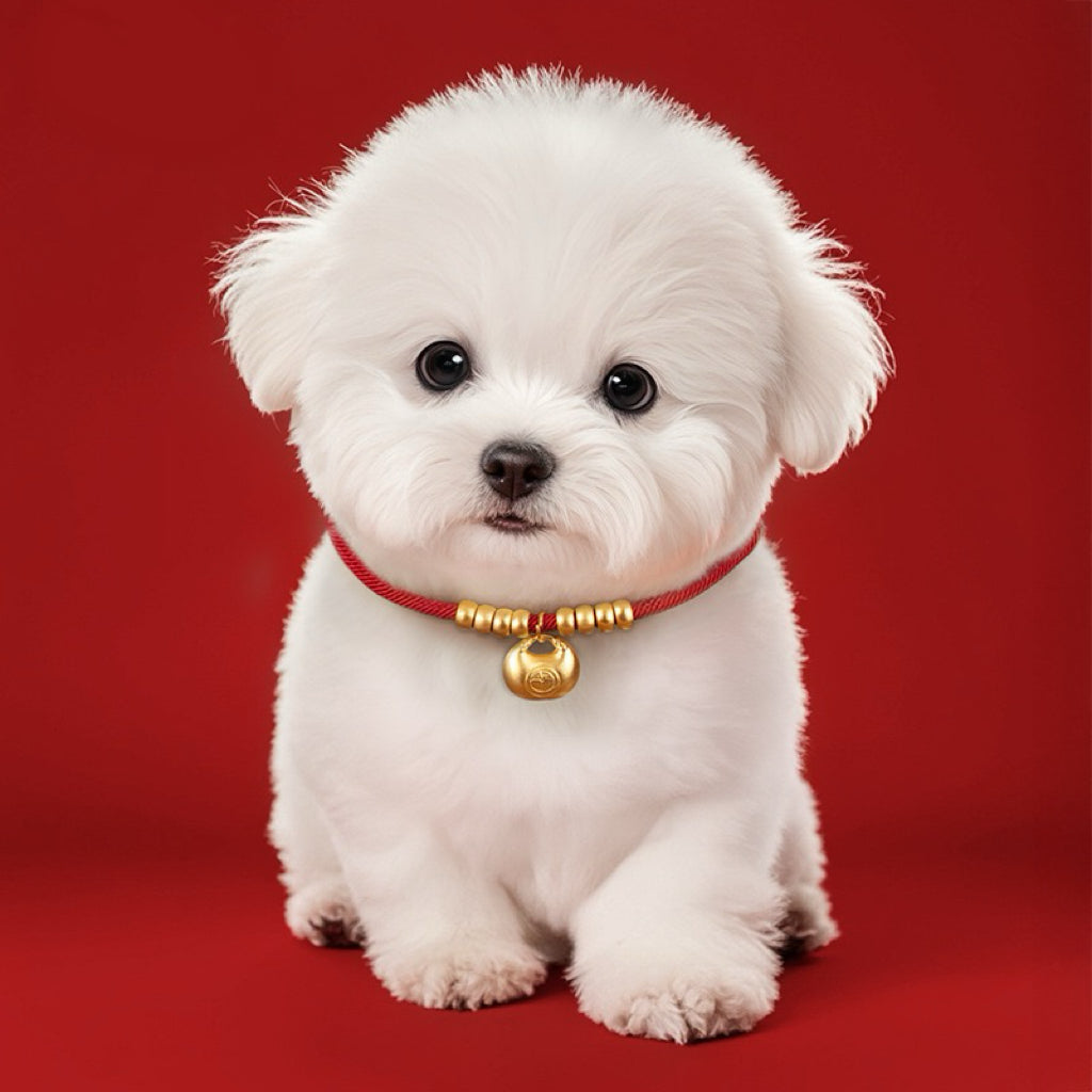 Health pet charm-Natural Fabric Pet Dog Collar Cute Wedding Puppy Necklace for Small Medium Large Dog